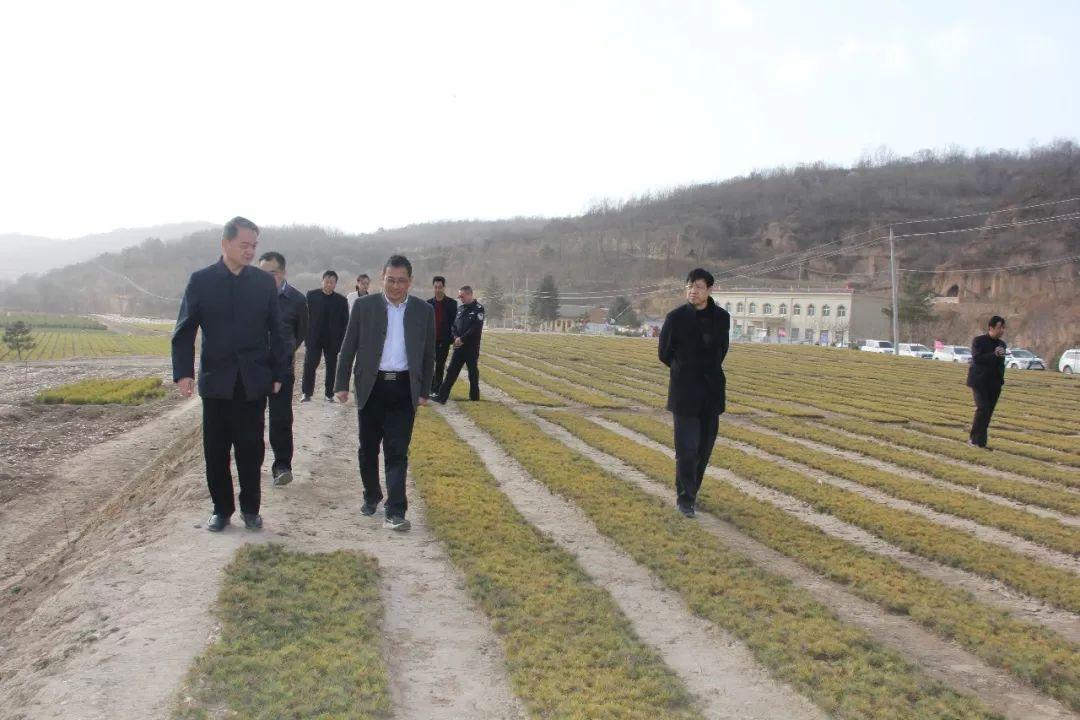 甘肅省林業廳最新事件,甘肅省林業廳最新事件之我見