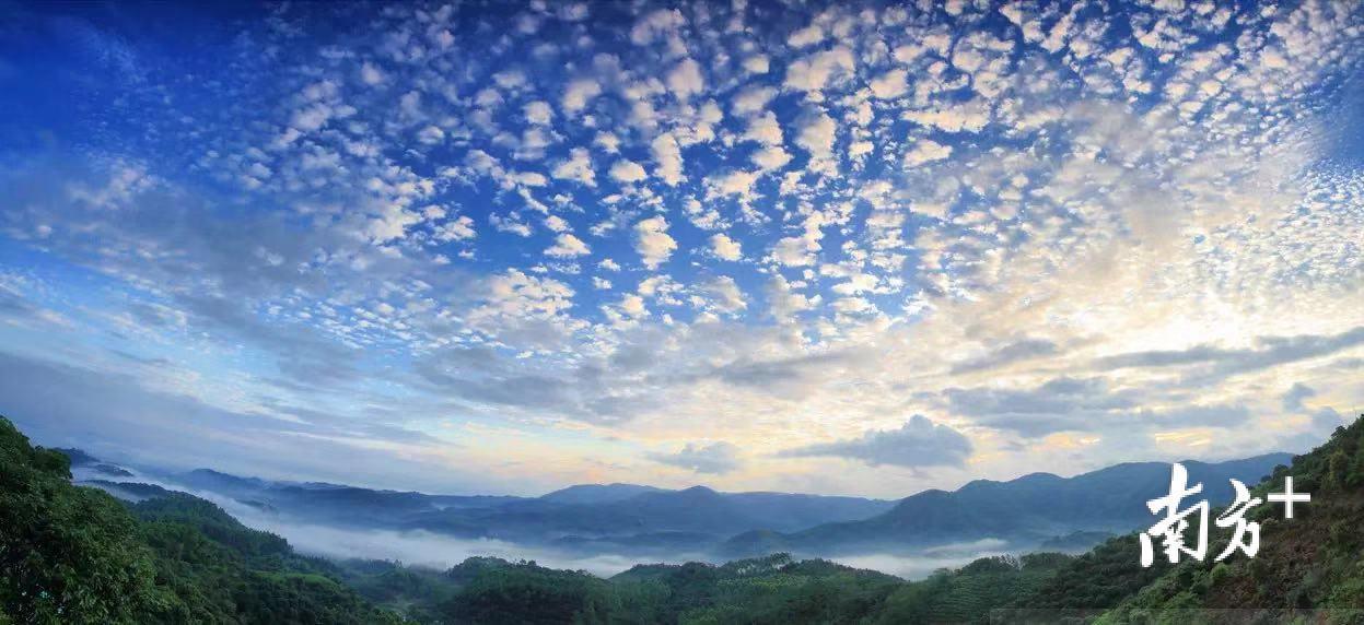 增城北汽招聘網最新招聘信息,探尋職業發展的綠色通道,助力職業發展夢想起航!