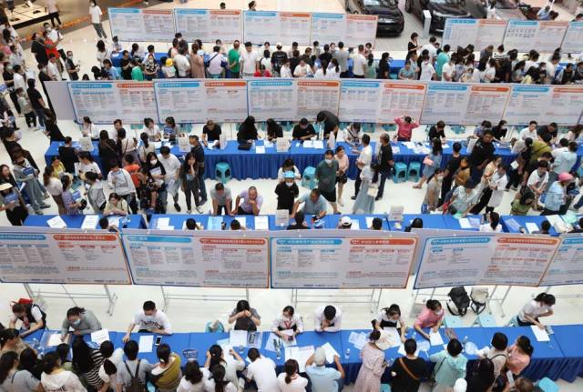 東臺人才網最新招聘會盛大開幕，匯聚英才，共筑未來發展之路