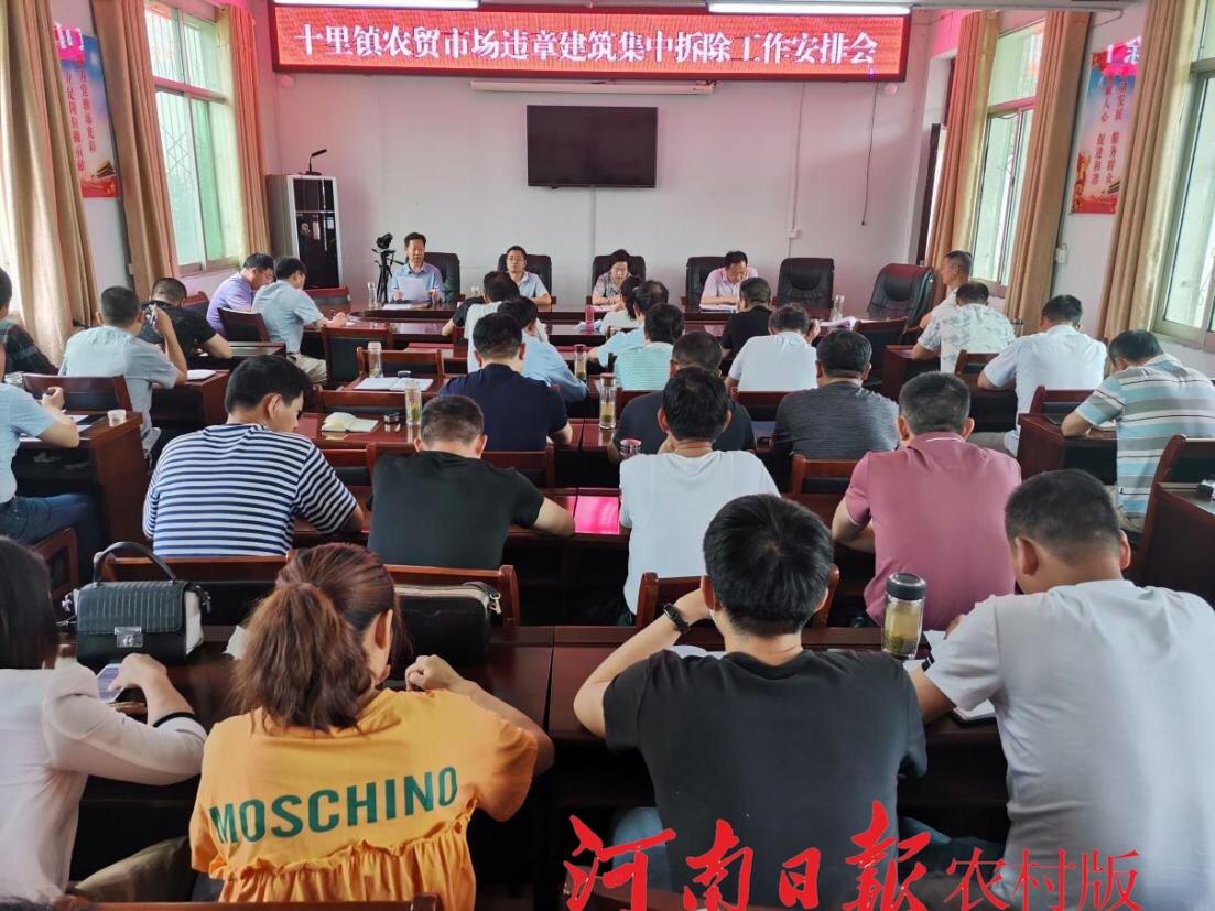 光山新聞最新動態，十里友情之光與日常趣事聚焦