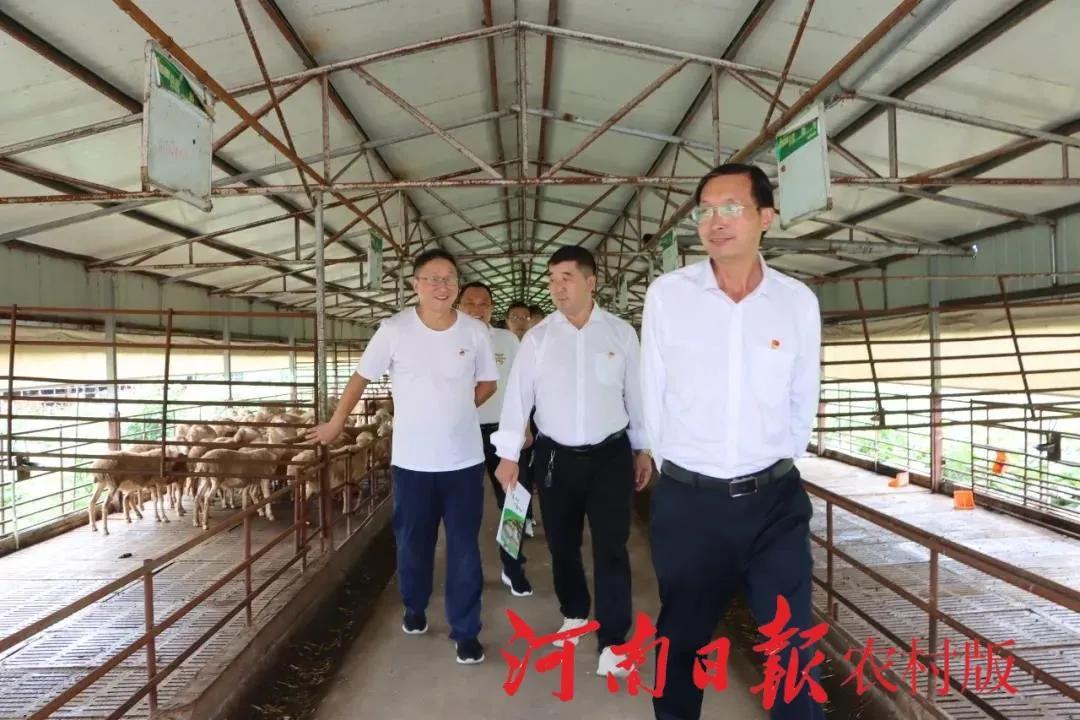 光山新聞最新動態,十里友情之光與日常趣事聚焦