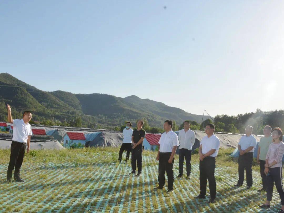 臨朐一品世家最新動(dòng)態(tài)，小巷中的美食秘境探索