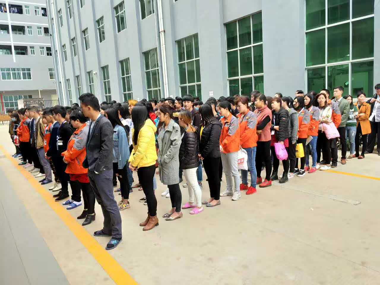 倫教工業(yè)區(qū)臨時工信息，一場自然美景的治愈之旅探索