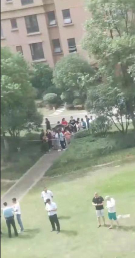 荊州金源世紀城最新消息,荊州金源世紀城最新消息，小巷深處的獨特風味