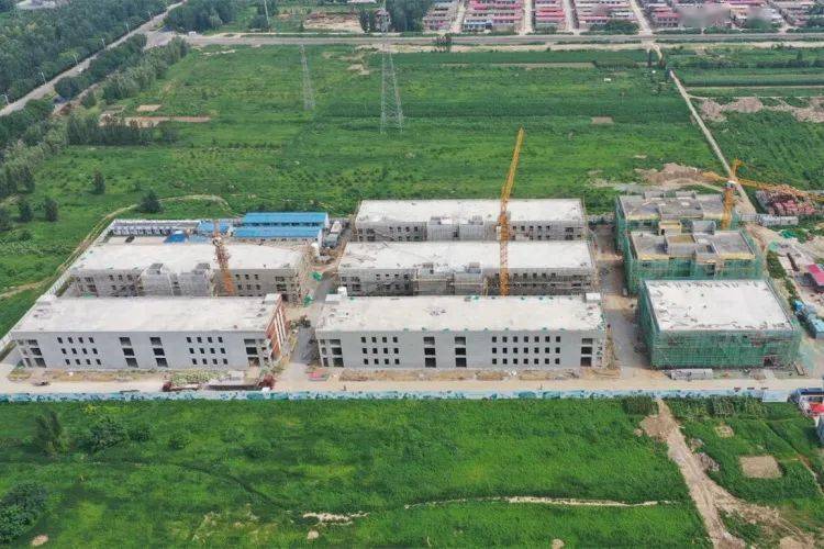 任丘市最新動(dòng)態(tài)，城市溫情與友誼的綻放