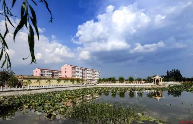 任丘市最新動(dòng)態(tài),城市溫情與友誼的綻放