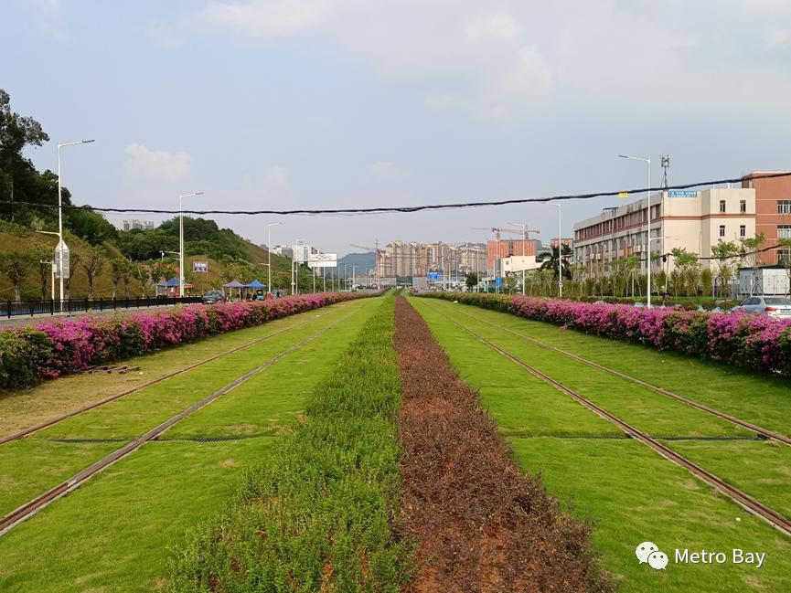 云埔工業(yè)區(qū)蓬勃發(fā)展勢頭強(qiáng)勁，未來可期，最新消息全面解讀
