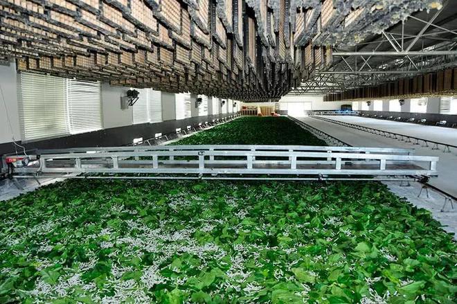 澳門最精準正最精準龍門蠶,現況評判解釋說法_活動版75.708