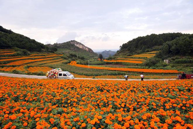 威寧雙龍鎮(zhèn)最新動態(tài),自信與成就感的蛻變