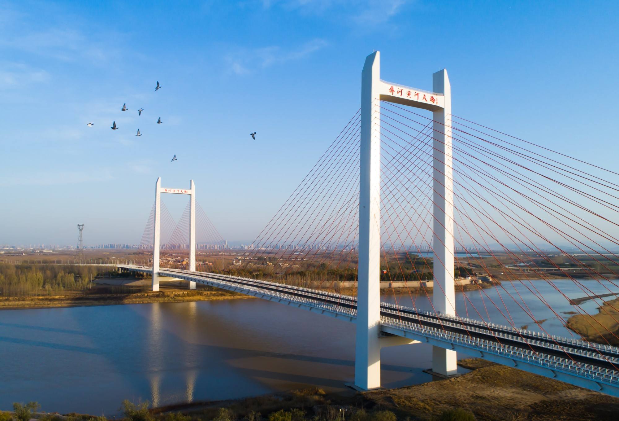 ??齊河黃河大橋最新進展報告??