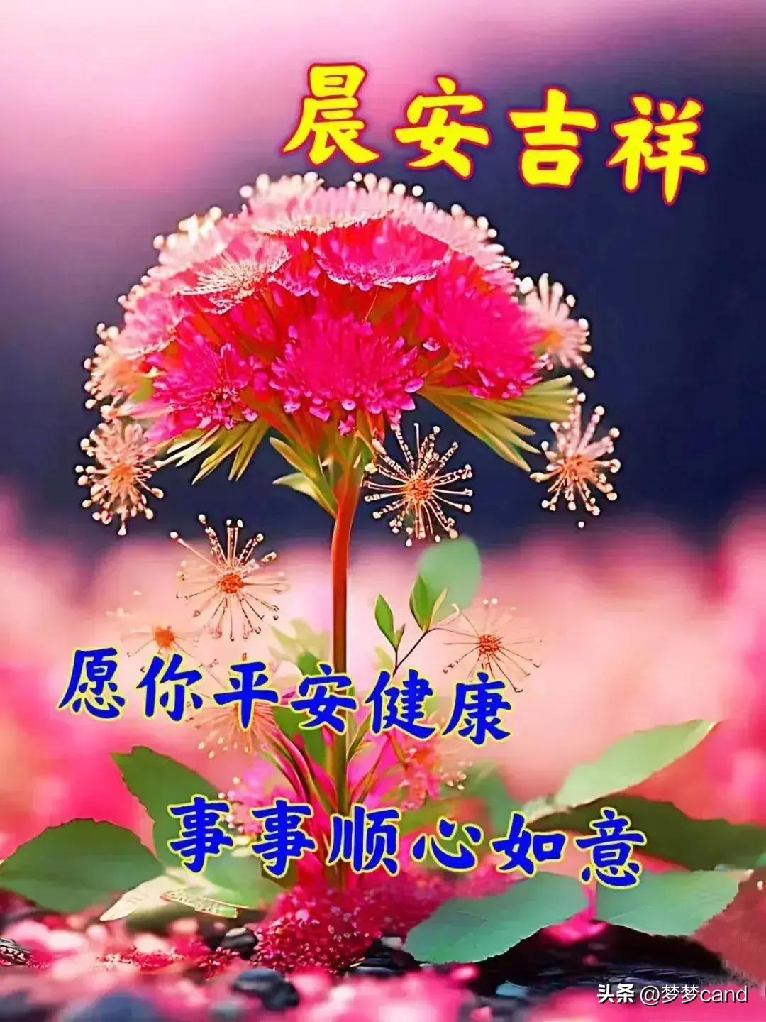 2024天天彩正版資料大全,實用性解讀策略_社交版18.996