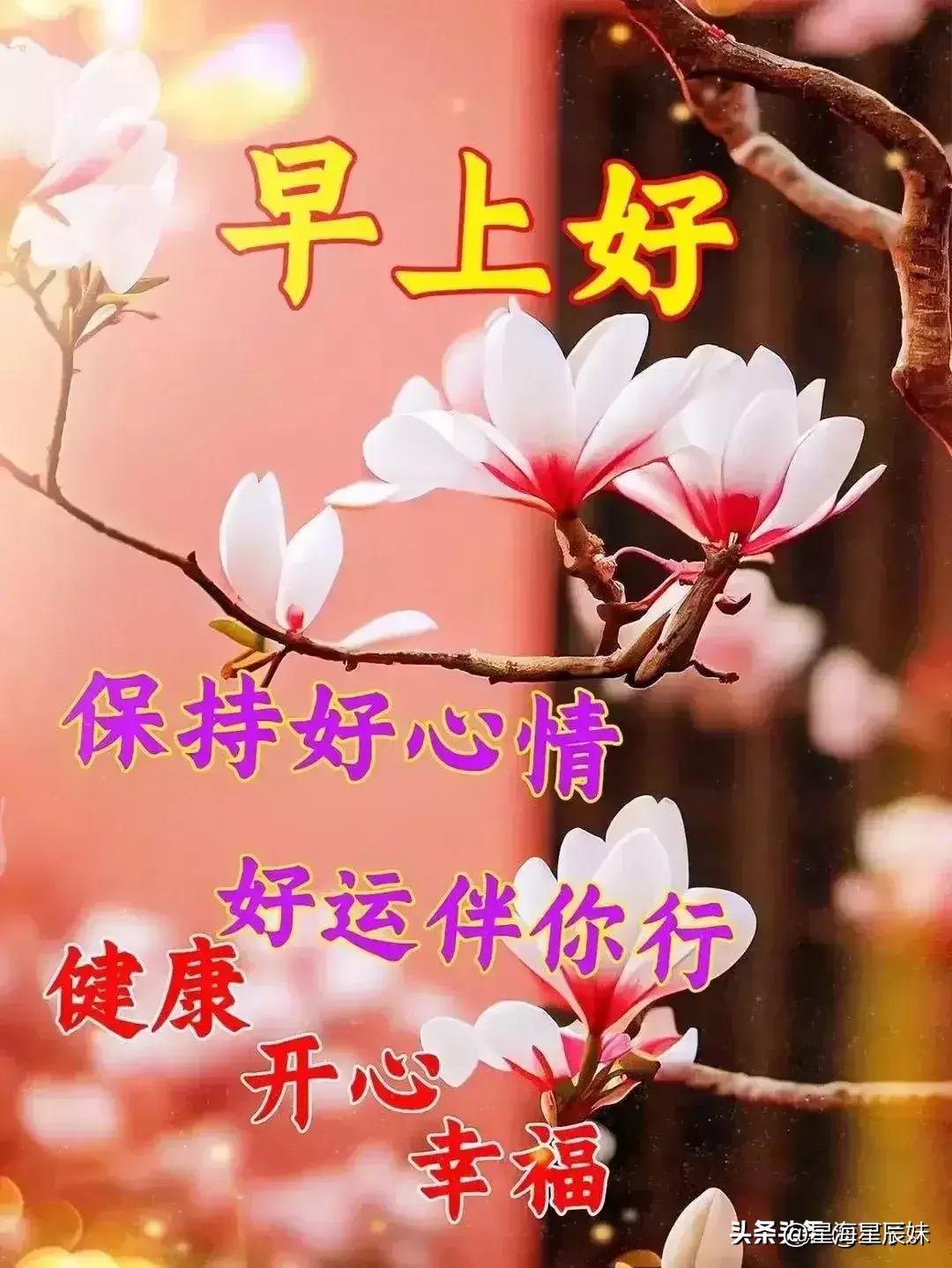 2024年天天彩資料免費大全,數據評估設計_明亮版7.583