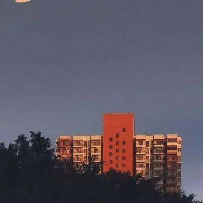 2024年澳門天天開好彩,全盤細明說明_動態版36.752