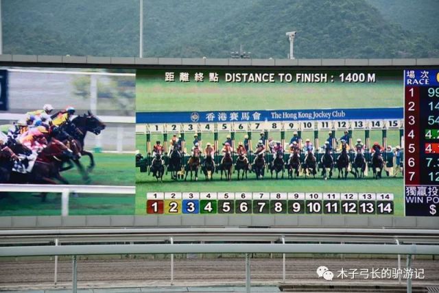 2024香港賽馬全年免費資料,深度研究解析_超級版54.847