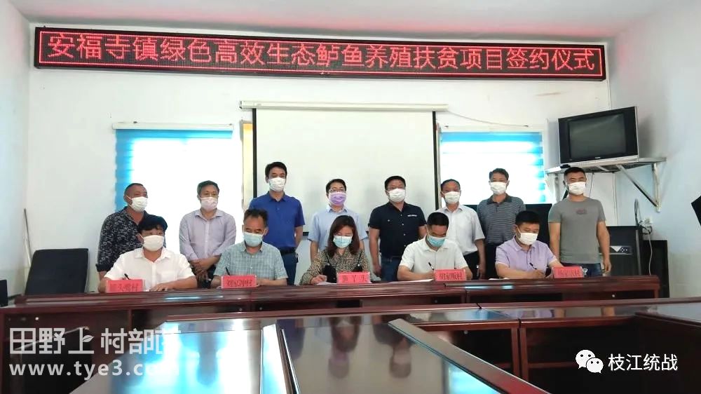 枝江安福寺最新動態,智慧與力量的匯聚之地