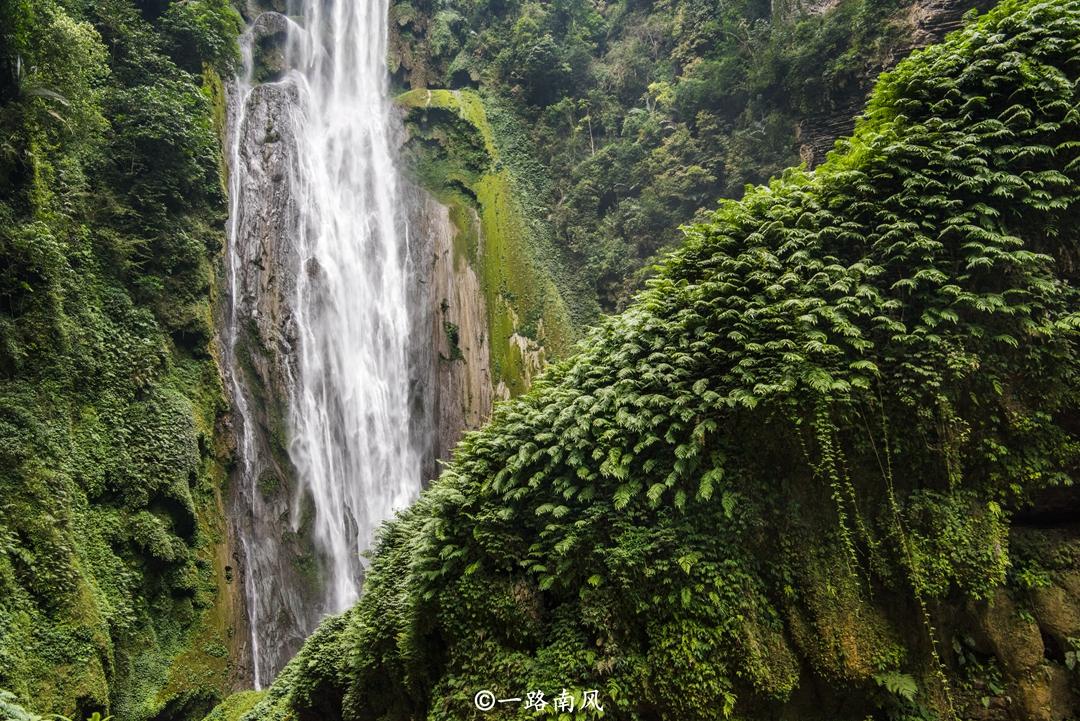 澳門天天免費精準大全,專家解析意見_晴朗版19.207