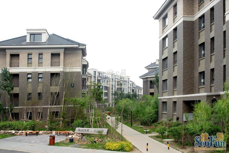 天津七里香格最新動態，城市發展微觀視角下的個人立場觀察