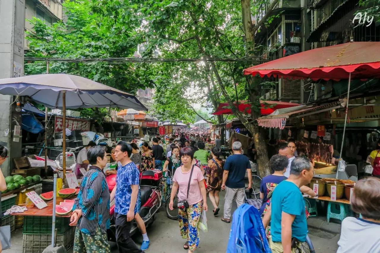 成都新二村最新消息,成都新二村最新消息，擁抱自然，尋找內心的桃花源