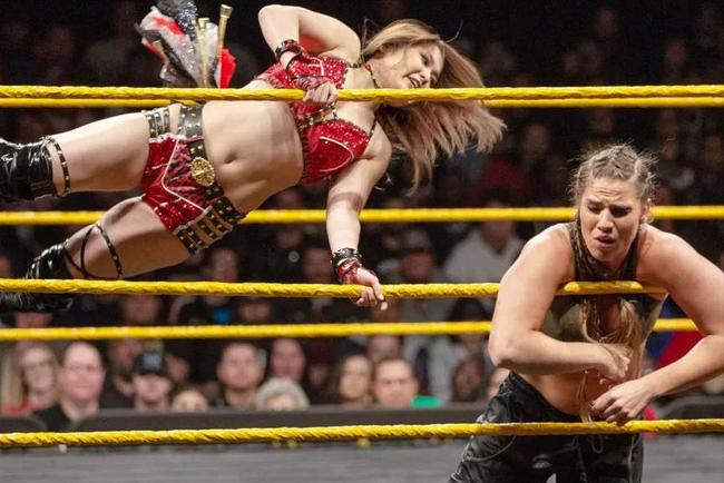 澳彩資料免費的資料大全wwe,釋意性描述解_影像處理版12.881