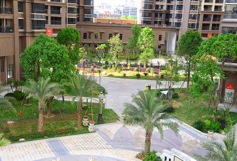 興寧新興豪庭最新動態，學習力量與自信種子的蛻變