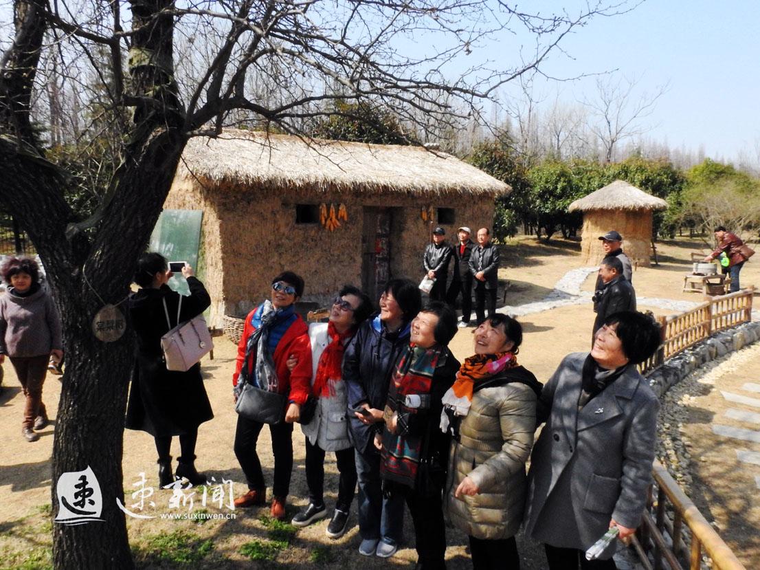 泗陽東城一品最新圖片揭秘,小巷中的隱藏寶藏!