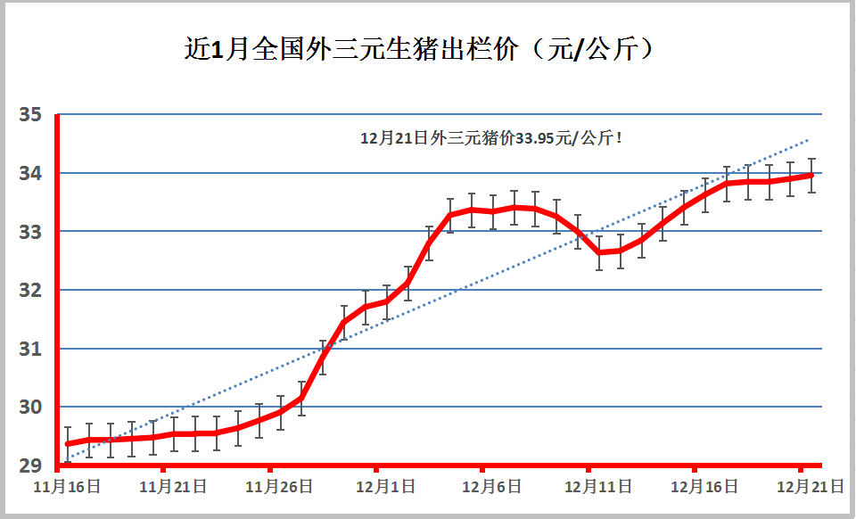 甘肅豬價實時更新,今日最新消息及市場動態????