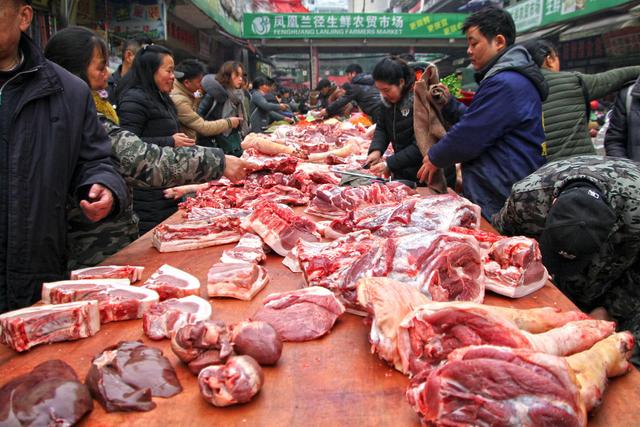 甘肅豬價實時更新,今日最新消息及市場動態????