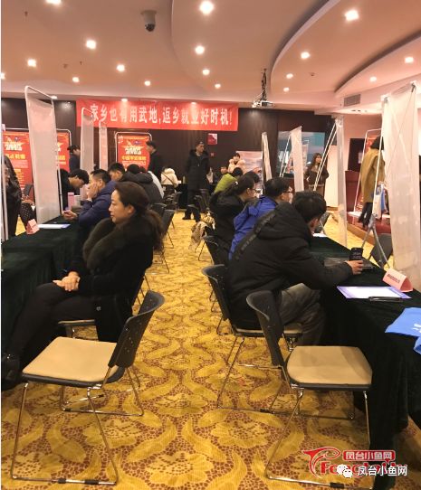 鳳臺縣小魚網最新招聘信息及觀點論述揭秘