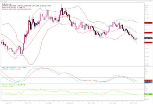 最新黃金市場走勢分析,趨勢、動態(tài)與預(yù)測