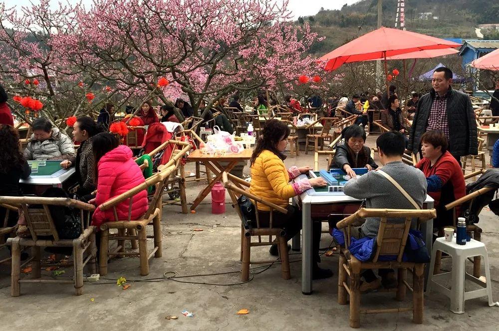 樂看網最新版,一段溫馨有趣的日常故事呈現