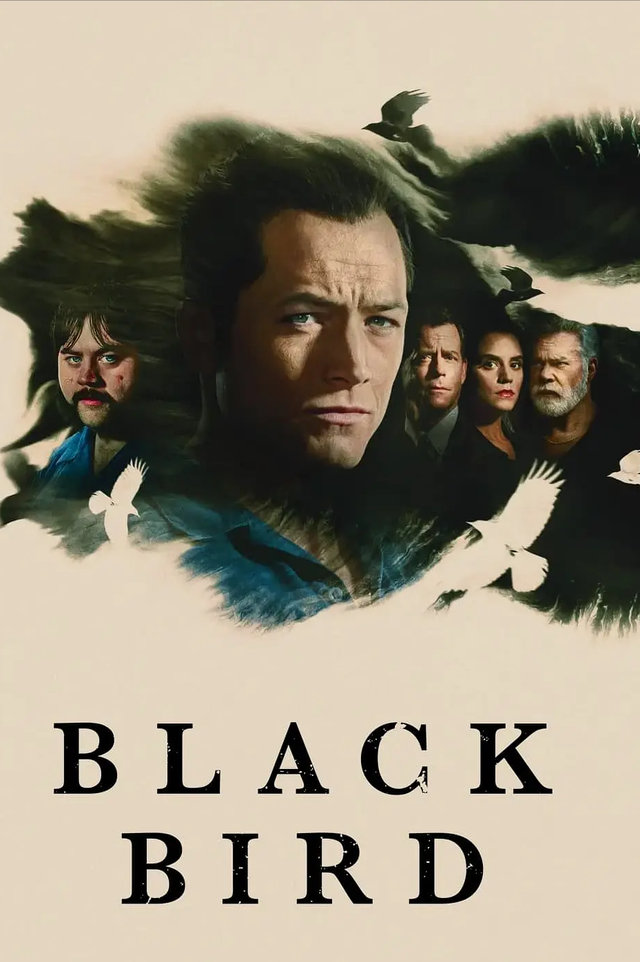 美劇鳥最新版,一站式追劇神器!