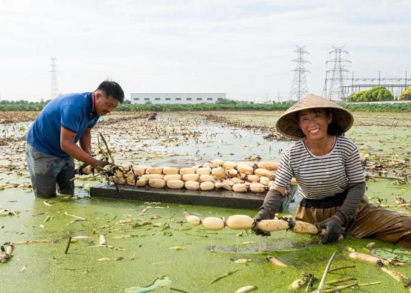 泰州姜堰，自然美景探索之旅，尋求內心平和與寧靜的最新消息