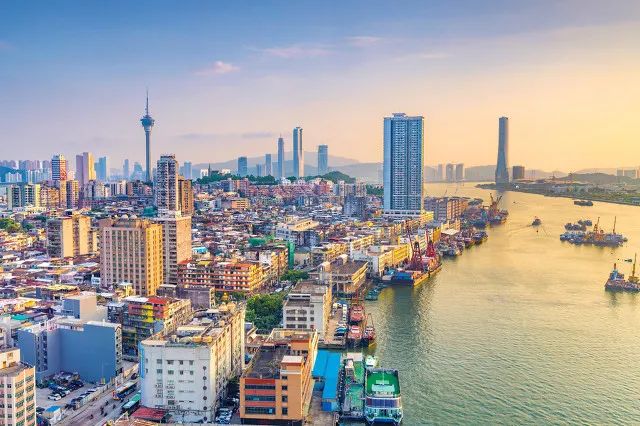 澳門最新動態,愛與陪伴的溫馨之旅