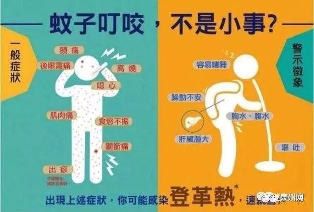 福建省最新疫情下的溫馨日常觀察