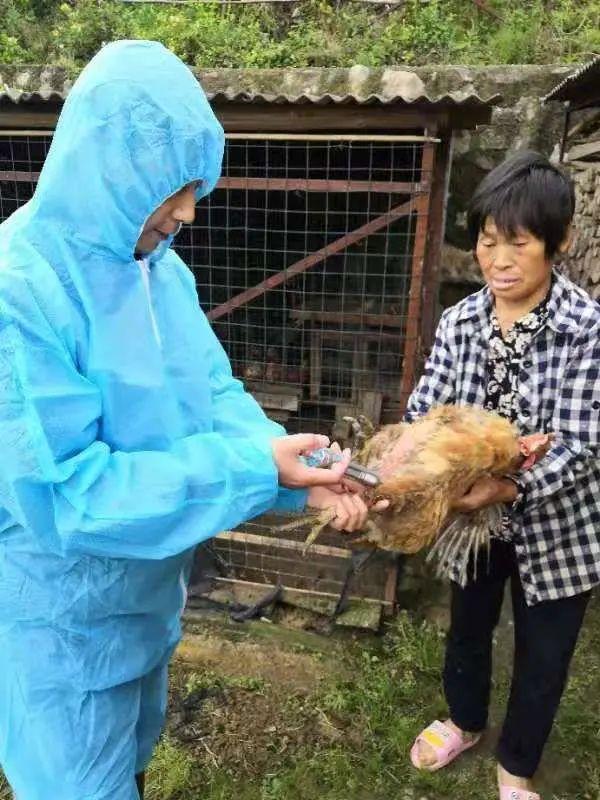 湖北防汛最新動態(tài),科技引領(lǐng)新紀(jì)元,智能防汛之旅啟程