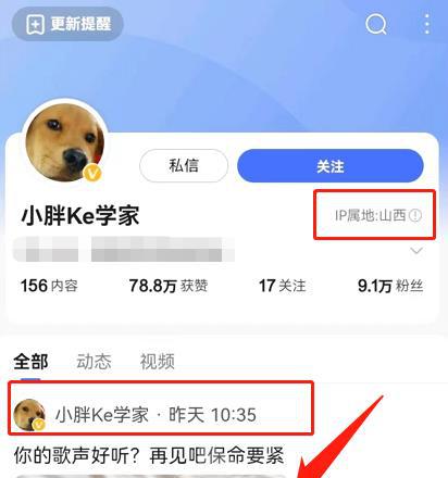 小狗最新動態揭秘,當下生活狀態與趨勢觀察分析