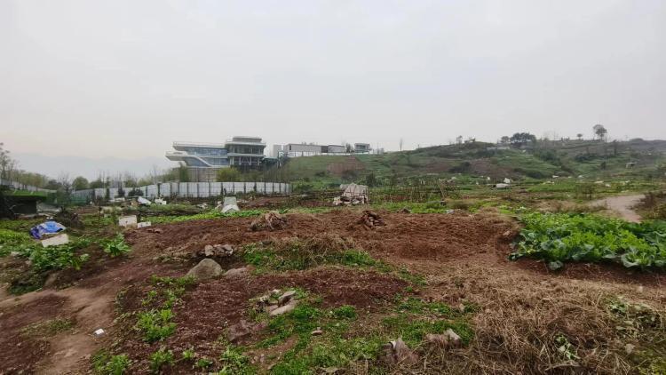 重慶北碚蔡家動態更新,自然美景探索與治愈之旅