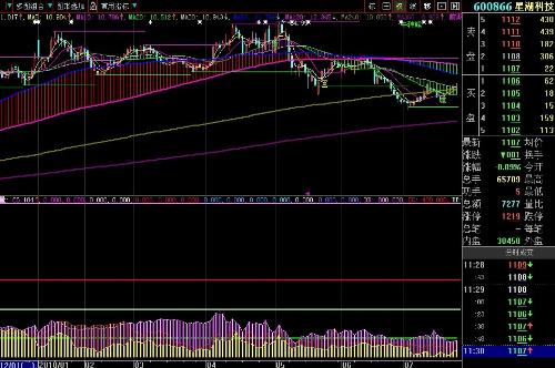全面解析600866股票行情,投資前景、市場動態(tài)一覽