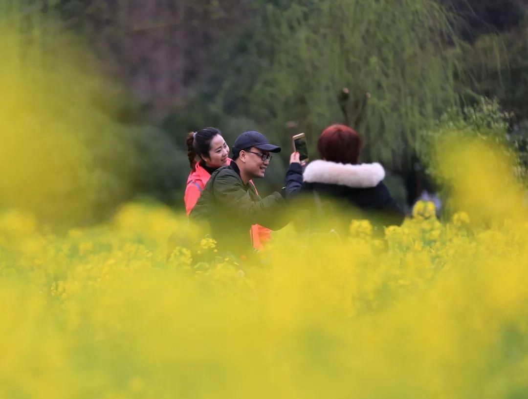 張家界實時天氣，自然之美的氣象解讀與旅游指南