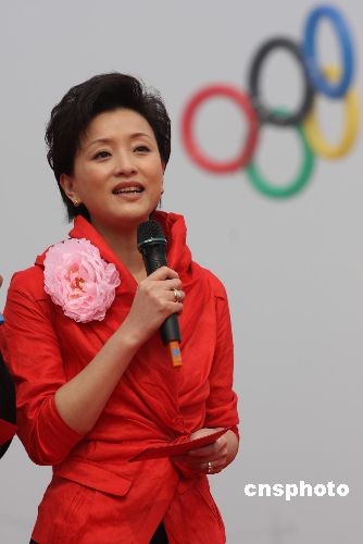 楊瀾最新消息揭秘，小巷深處的獨特風味小店探索