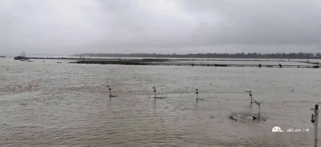 最新水情詳解，初學者與進階用戶的水情了解與學習指南