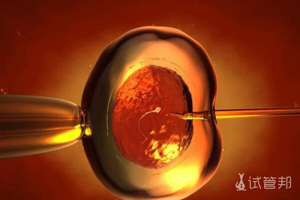 2018年試管嬰兒價格詳解，費用、考量因素全面解析