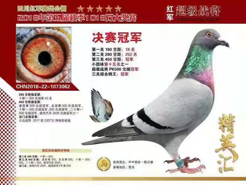 紅軍公棚最新公告解讀與觀點(diǎn)闡述