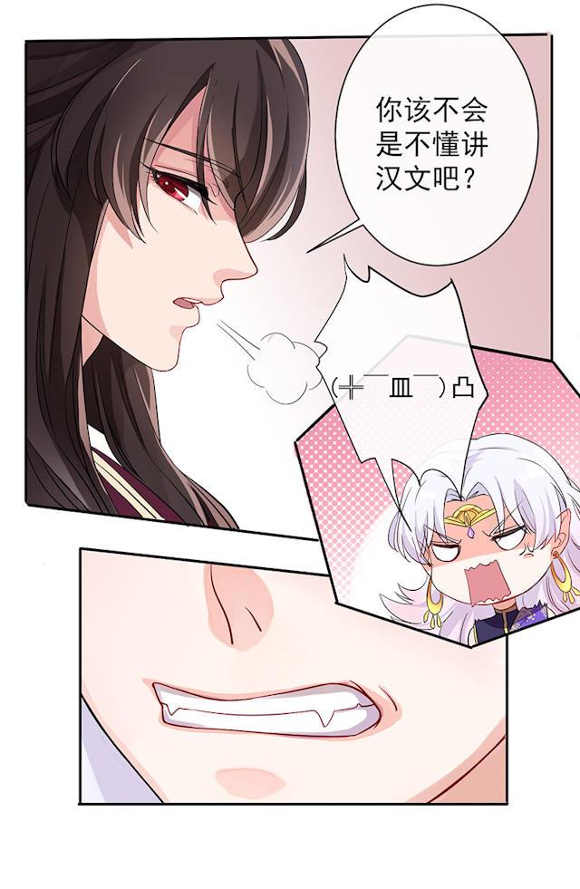 神秘面紗下的真相，最新奇談揭秘真相