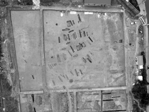 最新棺材新聞,小巷深處的特色小店,棺材藝術煥發新生命