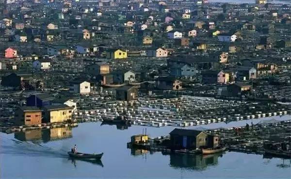 霞浦資訊深度解析,價值與影響探討