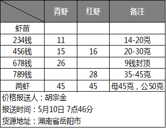 株洲小龍蝦價格行情揭秘，巷弄深處的秘密美食盛宴