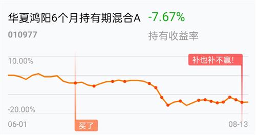 基金鴻陽股票行情分析與展望??