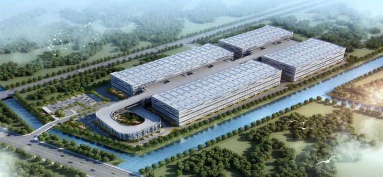 中信海直股票，股市浪潮中的友情小浪花