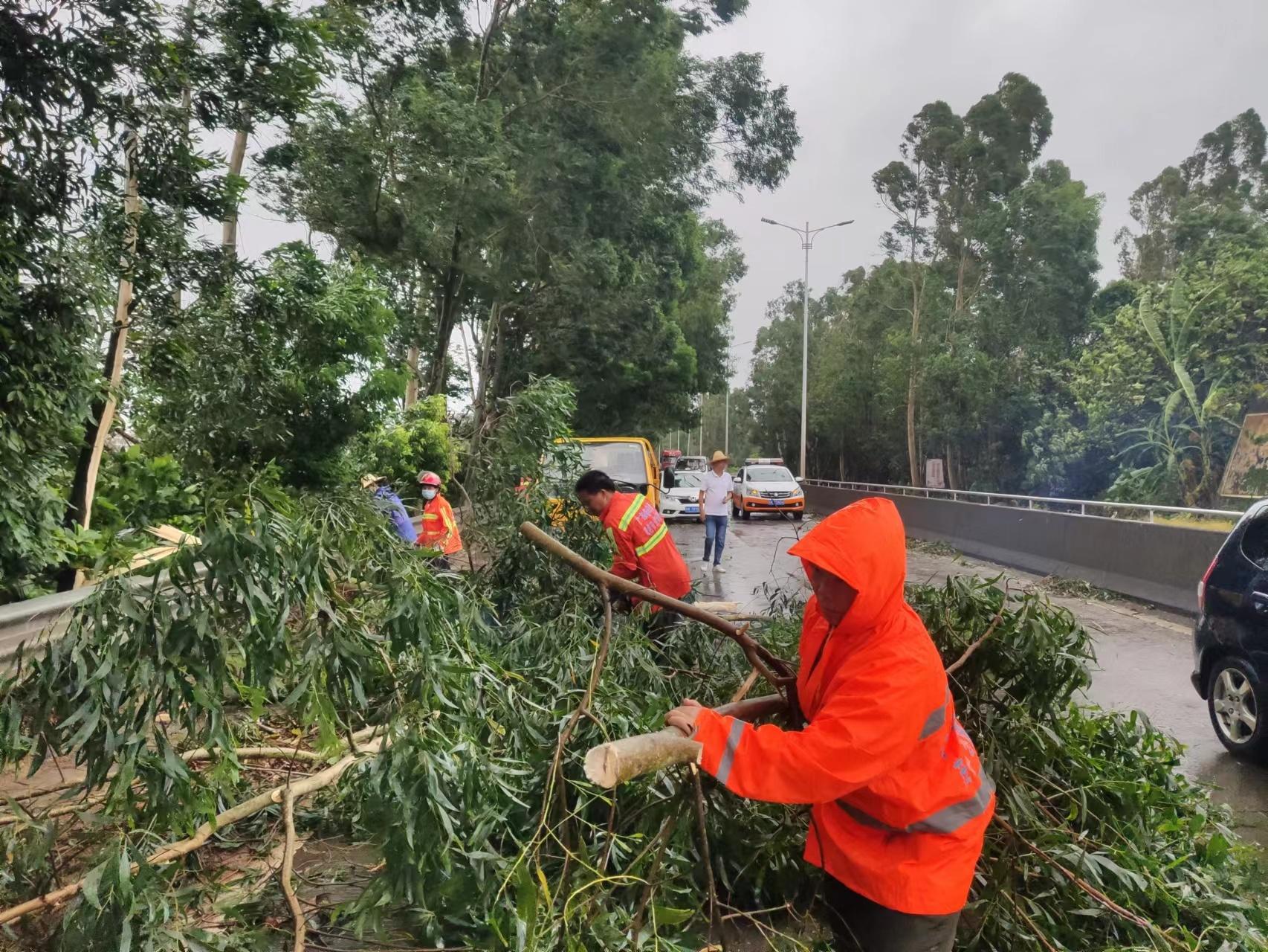 化州臺風最新動態(tài)及防范提醒,狂風驟雨,市民需警惕!